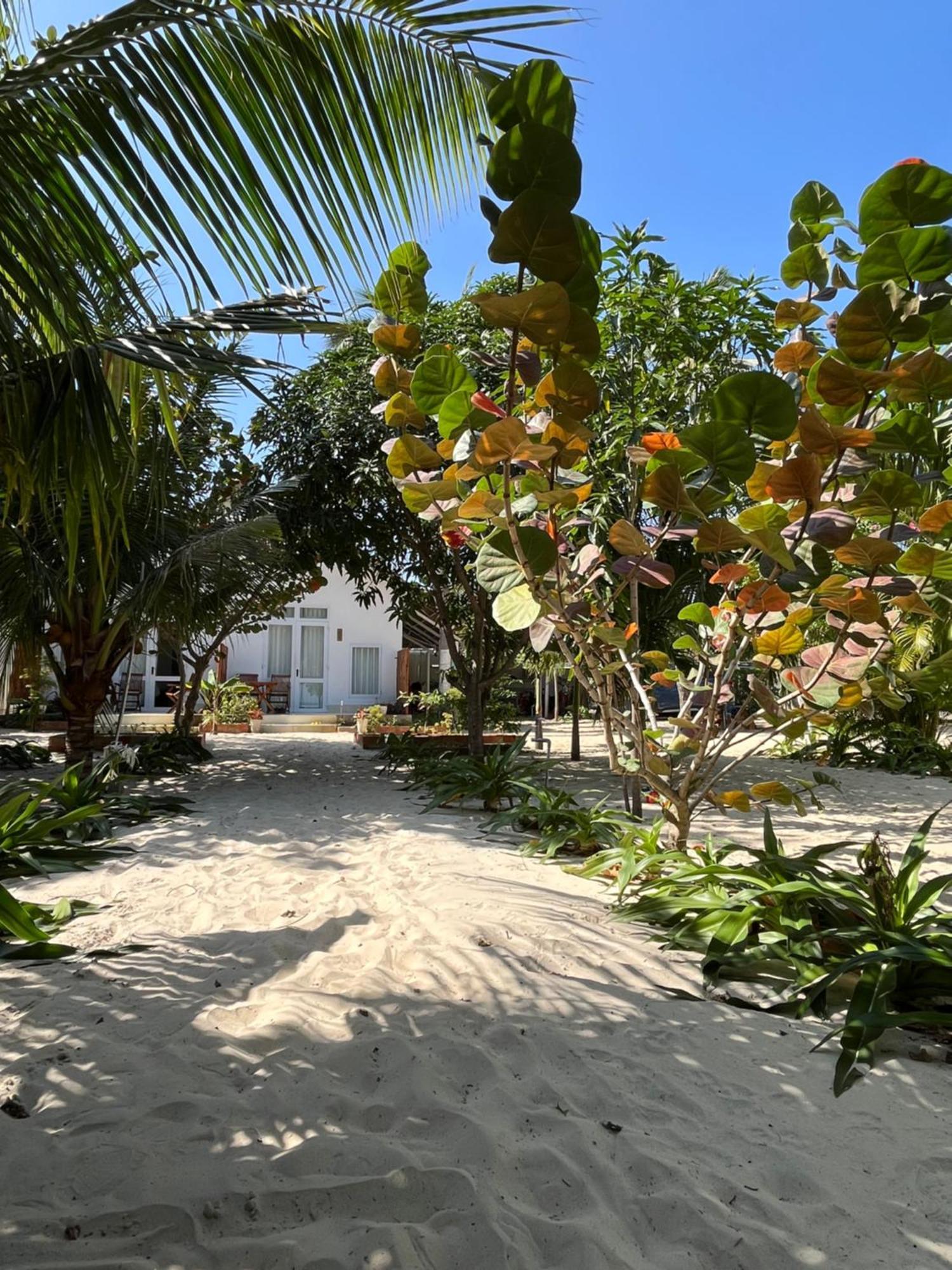 Robinson Beach Bungalow Vinh Hoa Exterior photo
